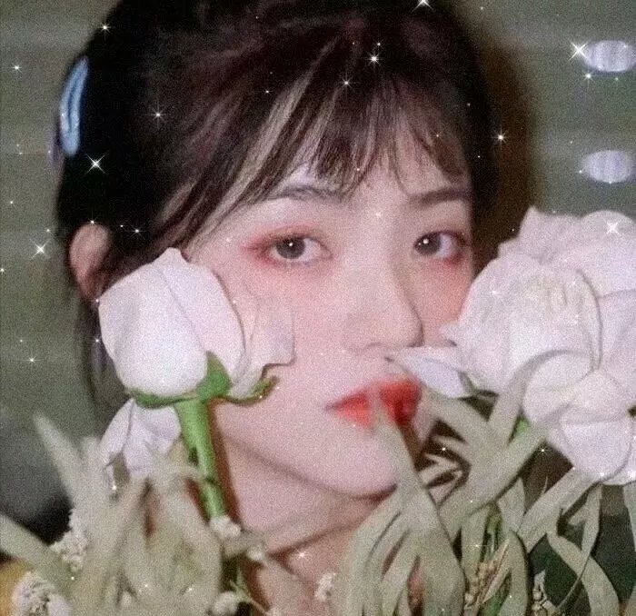 红楼梦第二部:黛玉葬花